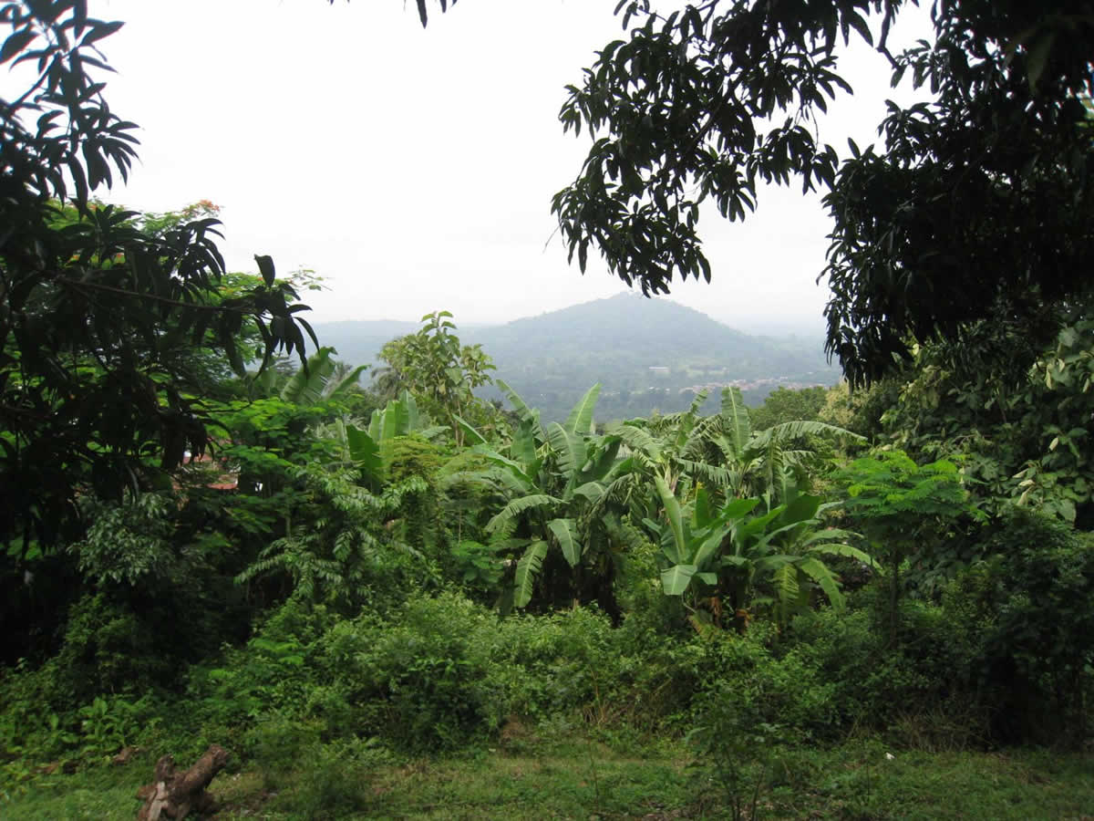 Fôret et montagnes de Kloto - Togo