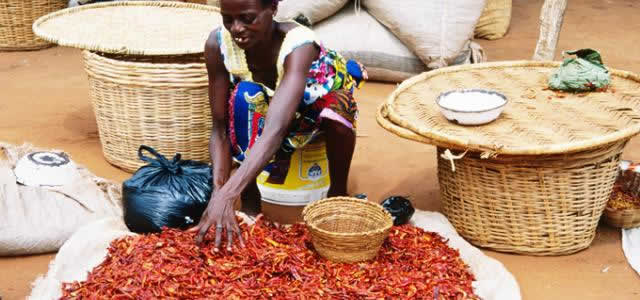 Revendeuse de piment au Grand marché de Vogan au Togo