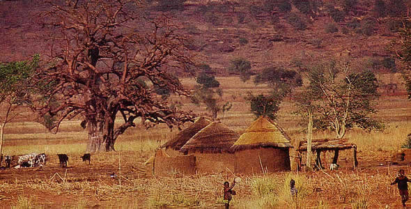 Régions des savanes - Nord Togo