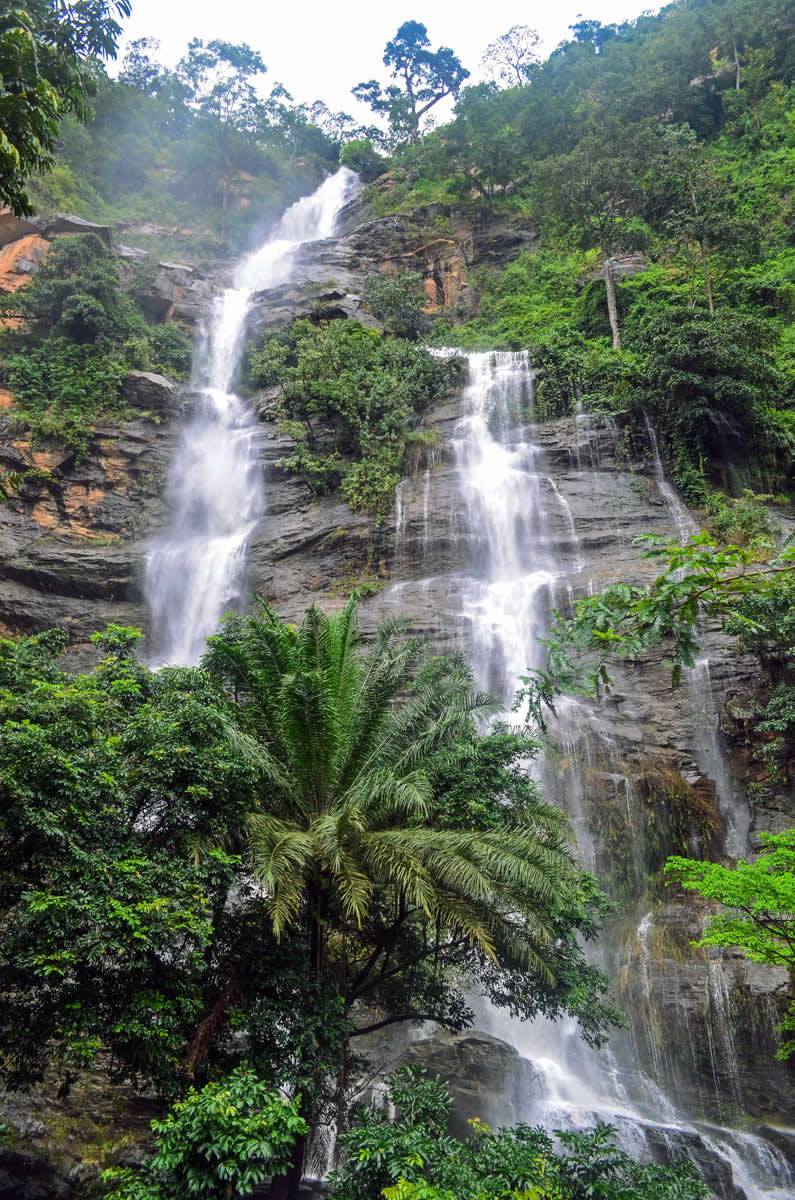 Tourisme vert - Ecotourisme | Patrimoine Naturel | Nature | Togo Tourisme